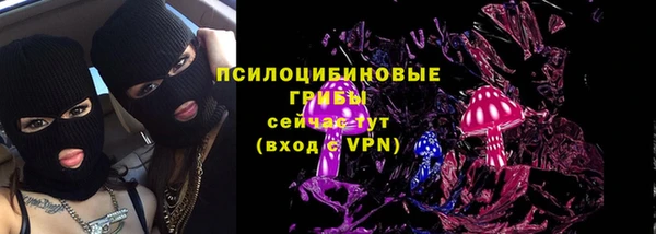 Альфа ПВП Дмитров