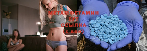 прущие грибы Дмитриев