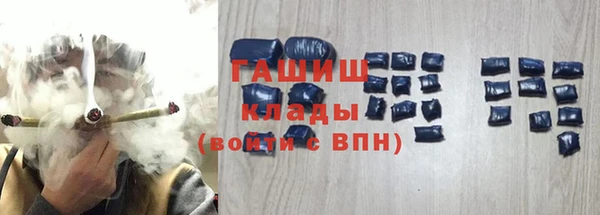 прущие грибы Дмитриев