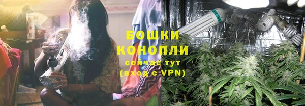 прущие грибы Дмитриев