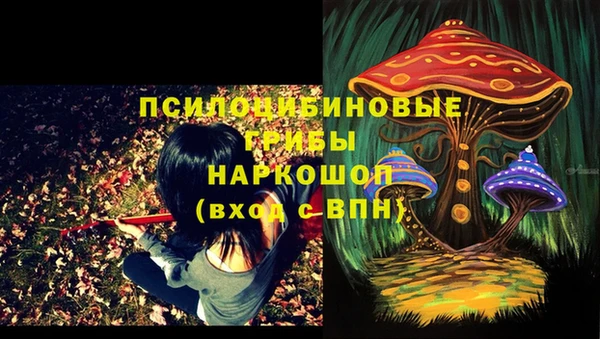 бутират Дмитровск