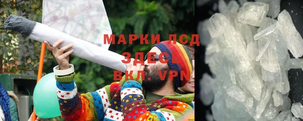 прущие грибы Дмитриев