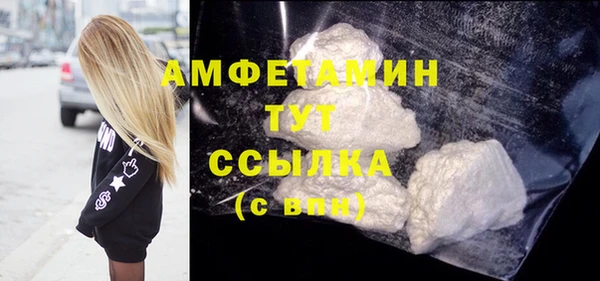 прущие грибы Дмитриев