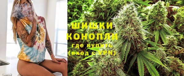 Альфа ПВП Дмитров