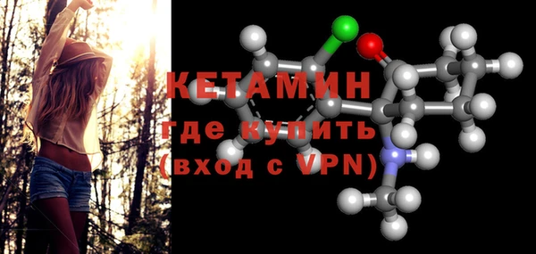 прущие грибы Дмитриев